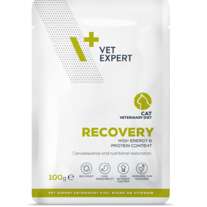 VetExpert Veterinary Diet Recovery Cat 100g Pouch