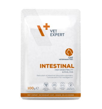 Vetexpert Veterinary Diet Intestinal Cat 100g Pouch